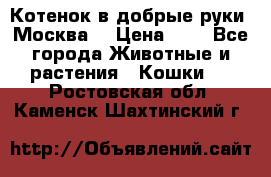 Котенок в добрые руки. Москва. › Цена ­ 5 - Все города Животные и растения » Кошки   . Ростовская обл.,Каменск-Шахтинский г.